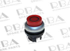RBAELE2936